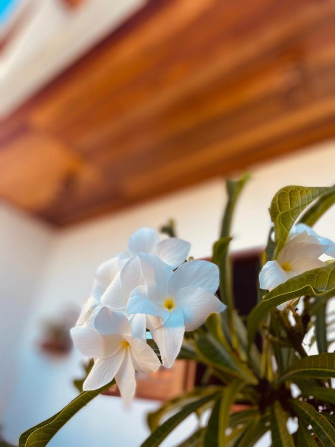Beach Eco Stays Hotel Boutique Lagoinha Paraipaba Zewnętrze zdjęcie